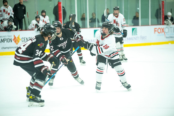 NHM JV vs FDL 329