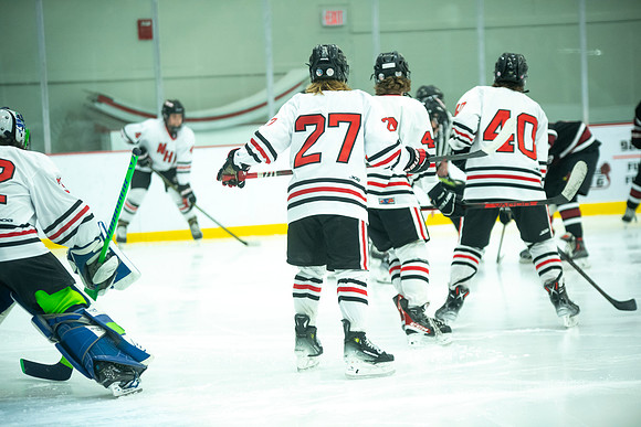 NHM JV vs FDL 331