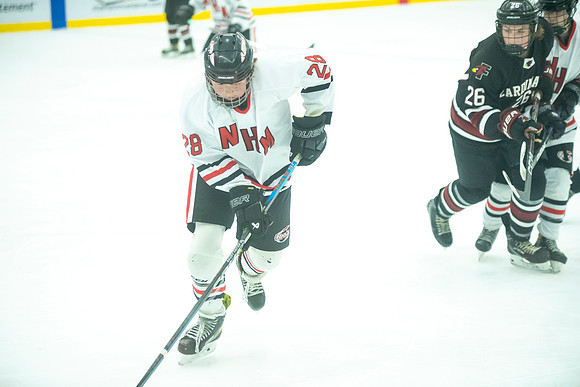 NHM JV vs FDL 358