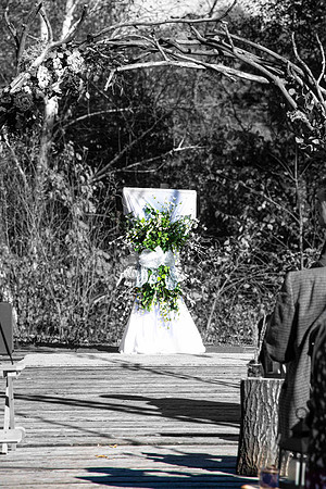 Wedding_193