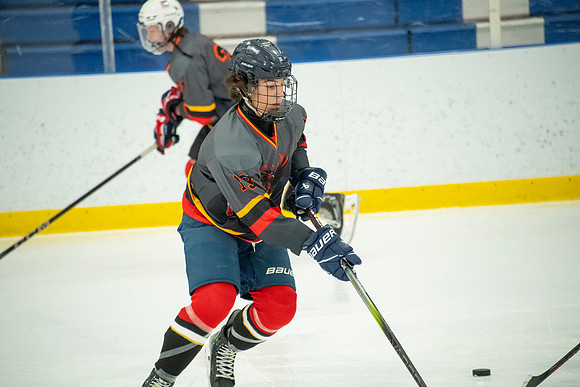Phoenix 08's - MN Tourney_004