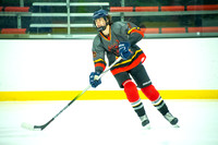 Phoenix at Chicago Tourney 005