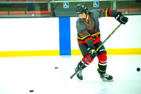 Phoenix at Chicago Tourney 016