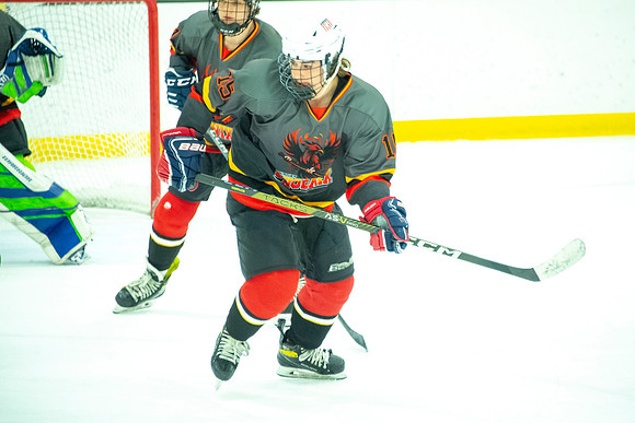 Phoenix at Chicago Tourney 030