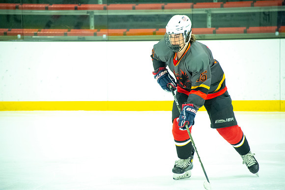 Phoenix at Chicago Tourney 010