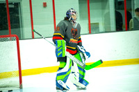 Phoenix at Chicago Tourney 003